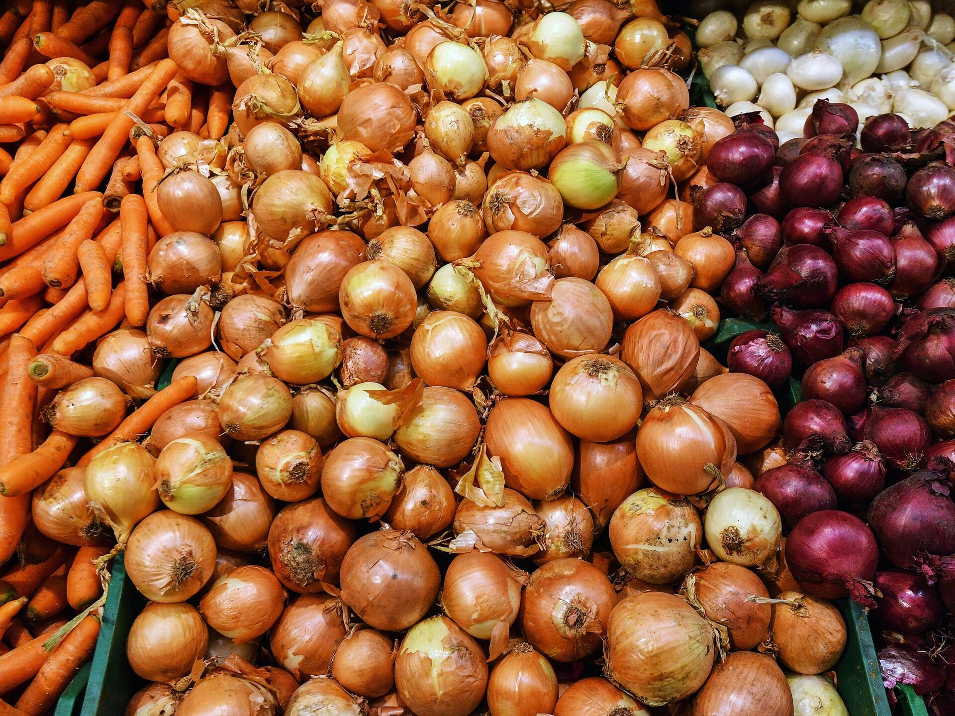 Kraken onion link